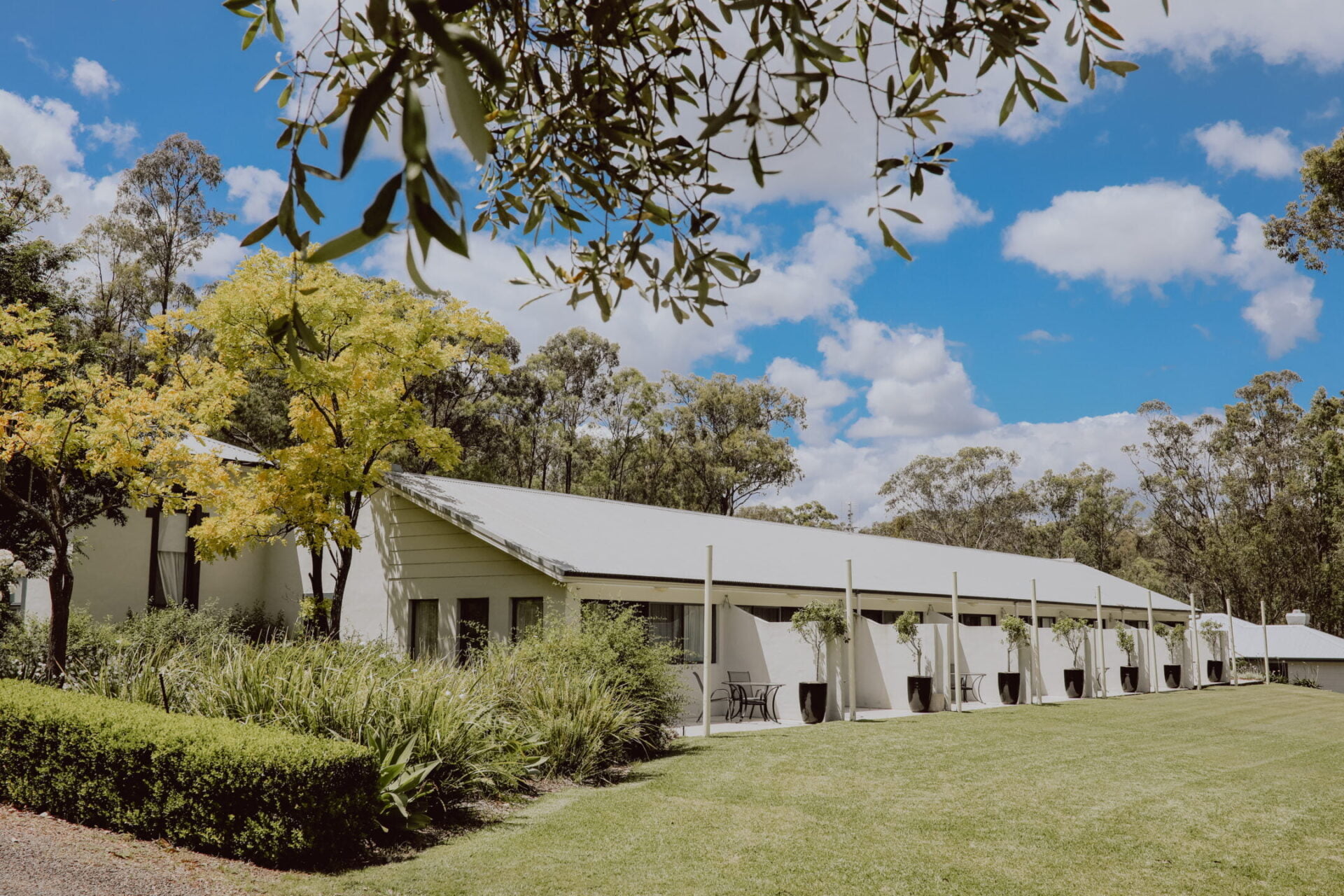 Nu Leaf Wellness Retreat accommodation surrounded by bushland in the Hunter Valley